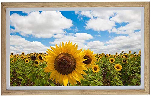 Share Your Memories with a Stunning Wooden Digital Frame