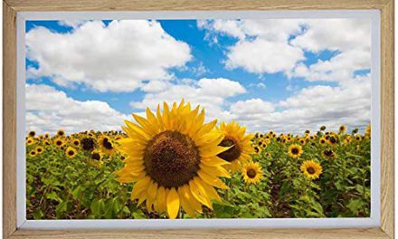 Share Memories Anywhere: QHYXT Wooden Digital Frame