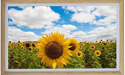 “Enhance Memories: Share, Rotate Photos/Videos on IPS Touch Screen Frame”