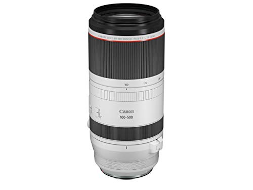 Capture Incredibly Detailed Shots with Canon’s RF 100-500mm Super-Telephoto Lens
