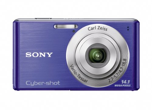 Capture Memories with Sony Cyber-Shot DSC-W530 Camera