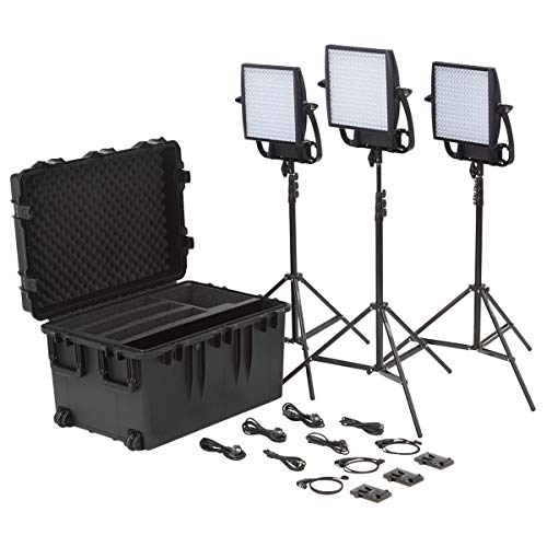 Powerful Lighting Kit for Travel with V-Mount Battery Plates