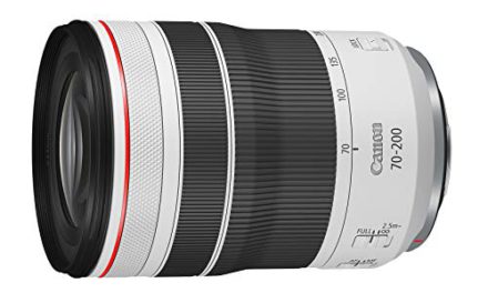 Capture Perfect Moments with Canon RF70-200mm F4 L Lens