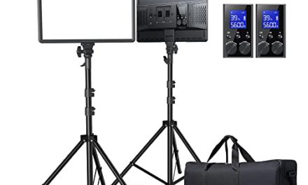 “Enhance Your Creativity: RALENO 2-Pack Studio Lights for Captivating Visuals”