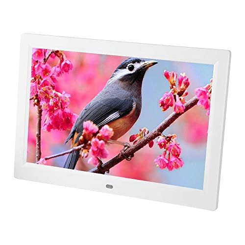 Capture Memories with 20 Inch Digital Photo Frame