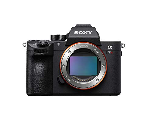 Capture Stunning Moments with Sony Alpha 7R III