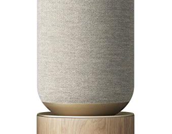 “Immerse in Rich Sound: Beosound Balance Speaker”