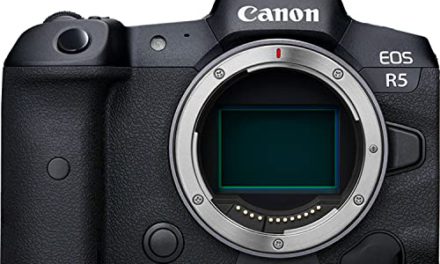 Capture Stunning Moments with Canon EOS R5
