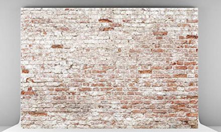 “Capture Memorable Moments with Kate’s Rustic Brick Wall Backdrops”