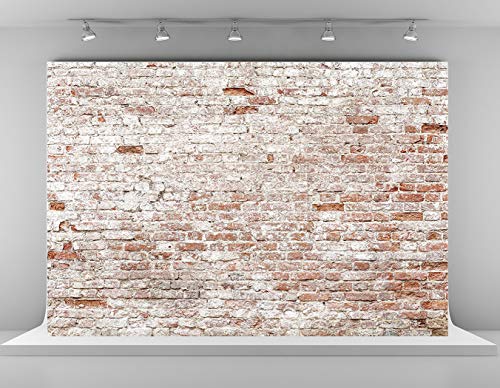 “Capture Memorable Moments with Kate’s Rustic Brick Wall Backdrops”