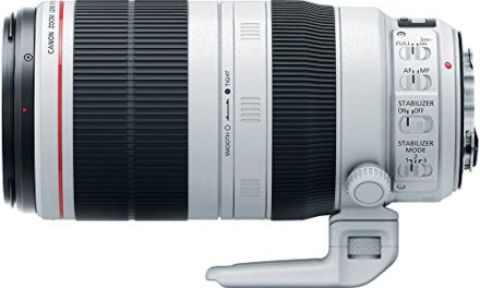 Capture stunning images with the Canon 100-400mm lens