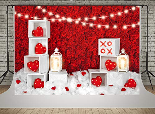 Valentine’s Day Loveheart Backdrops: Kate’s Red Rose Wall & Lighting