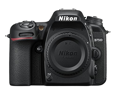 Get Your Hands on the Revitalized Nikon D7500 Camera!