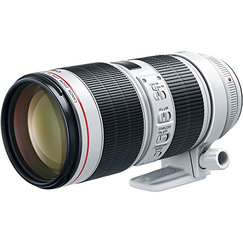 Renewed: Capture with Canon EF 70-200mm Lens!