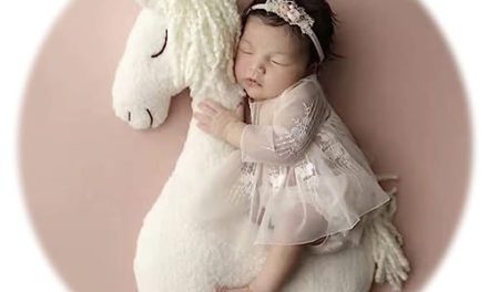 “Ultimate Newborn Photography Prop: Posing Pillow Horse for Perfect Baby Photos!”