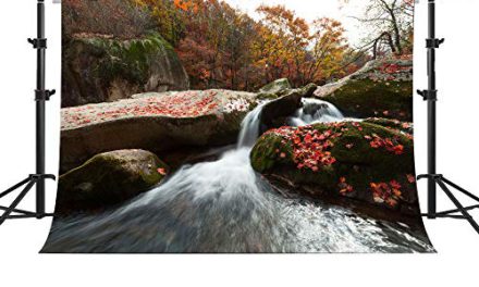Captivating Autumn Landscape Photography Backdrop