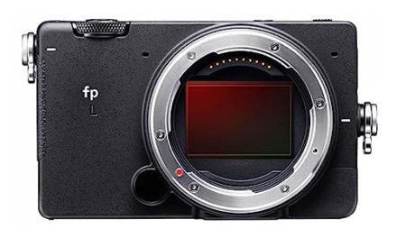 Capture Moments with the Sigma FP L Camera