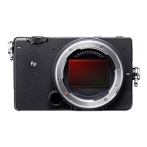 Capture Moments with the Sigma FP L Camera