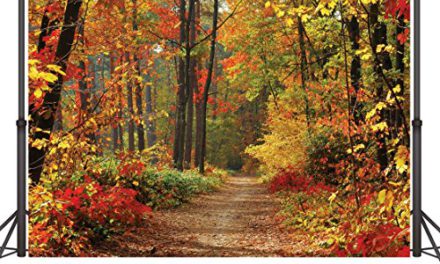 Captivating Autumn Landscape: 7x5ft Vinyl Mountain Road Backdrop