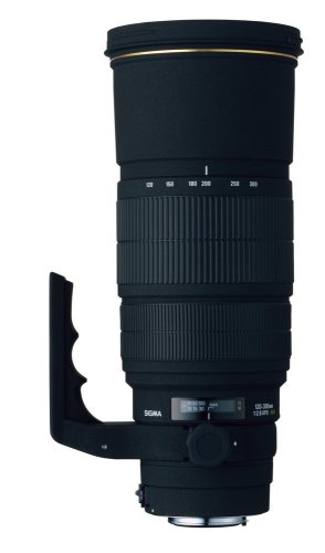 Capture Stunning Canon Shots with Sigma 120-300mm Telephoto Zoom Lens