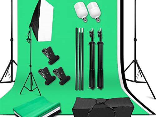 Capture Stunning Moments with ZLXDP Studio Kit: Softbox Lights, Background Support, and Backdrop