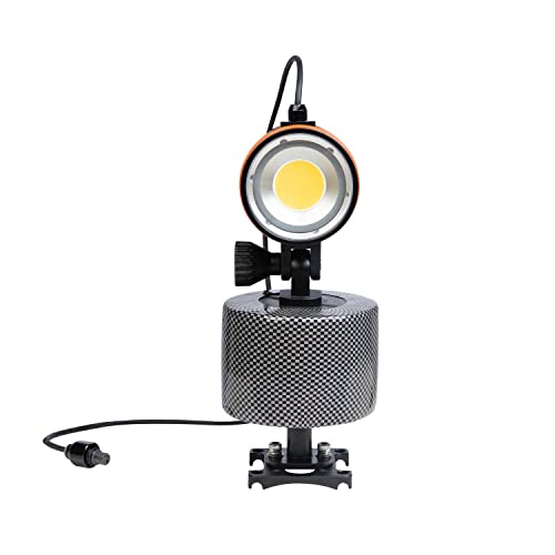 Chase Submerged LED Floodlight: Boost Your Chasing M2 and M2 Pro