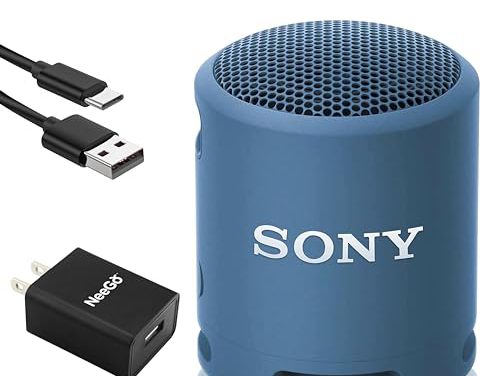 Immerse in Music Anywhere: Sony Bluetooth Speaker, Waterproof & Durable, 16 Hour Battery