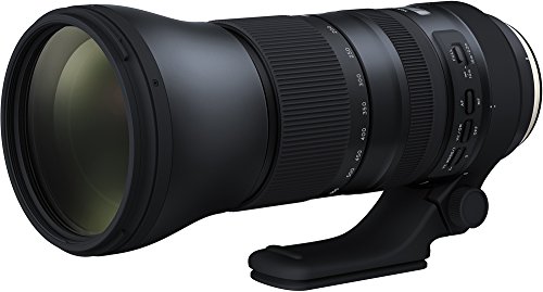 Capture the World: Tamron’s Powerful 150-600mm Lens for Canon DSLRs