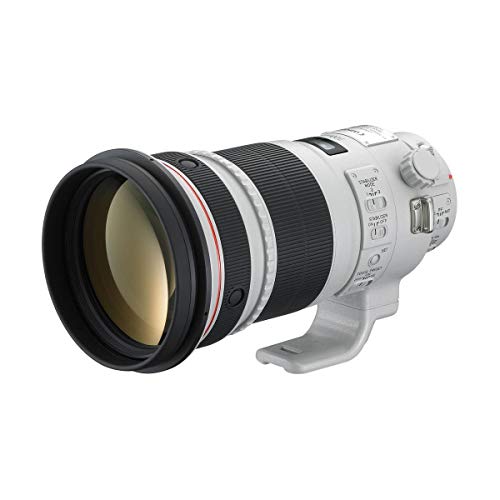 Capture Epic Shots with Canon’s Ultimate Super Telephoto Lens