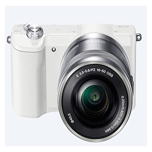 Capture Life’s Moments with the A5100 Mirrorless Camera