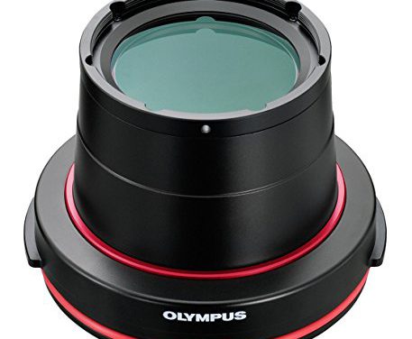 Capture Stunning Underwater Macro Photos with OM System Olympus UW Port