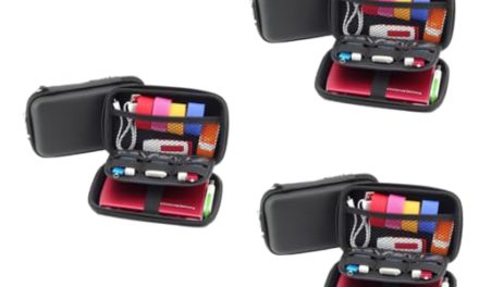 Organize, Protect & Carry: Earbud Holder + Headphone Pouch + Travel Storage Box