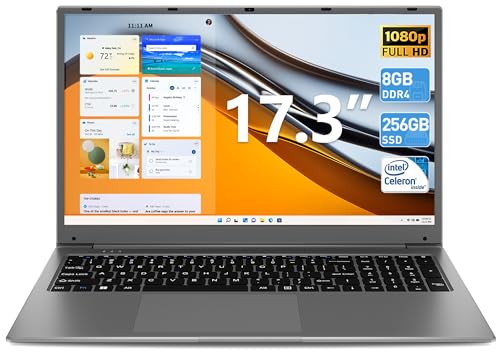Powerful 17″ SGIN Laptop: 8GB RAM, 256GB SSD