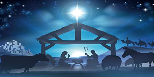 Capture the Magic: Jesus’ Birth Nativity Scene Backdrop