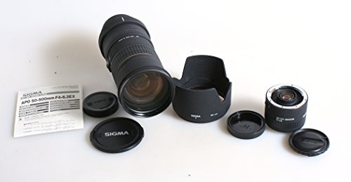 Superzoom Lens + Teleconverter: Sigma 50-500MM EF Mount