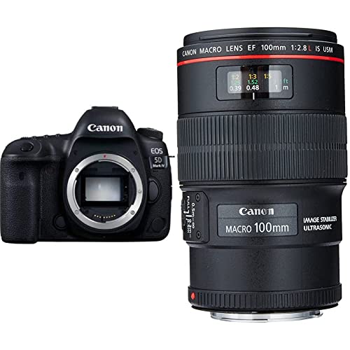 Capture Stunning Macro Shots with Canon 5D Mark IV + 100mm Lens!