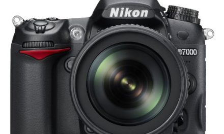 Capture Stunning Moments with the Nikon D7000