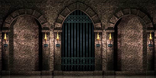 Gothic Castle Photography Backdrop: Ancient Stone Wall, Iron Gates, Torches – Create Spooky Atmosphere!