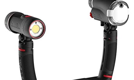 Unleash the Power: Sea Dragon Duo 3000F Flash Set