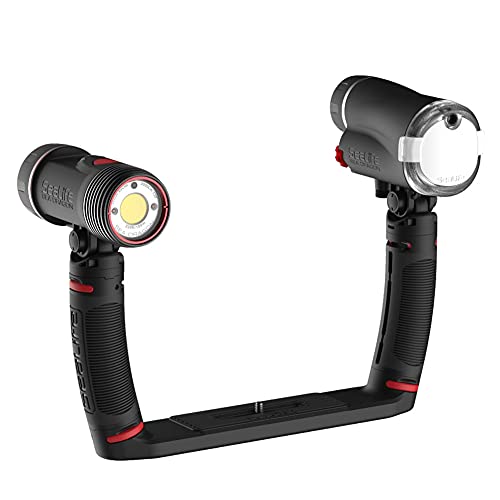 Unleash the Power: Sea Dragon Duo 3000F Flash Set