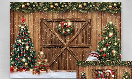 Capture Magical Christmas Memories with OERJU Rustic Barn Wood Door Backdrop