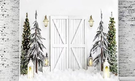 Enchanting Xmas Barn Door Backdrop for Festive Photography