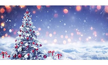 Enchanting Winter Wonderland: Festive Christmas Backdrop for Memorable Holiday Celebrations!