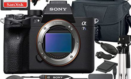 Capture Stunning 4K Moments with Sony a7S III