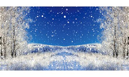 Enchanting Winter Wonderland Photography Backdrop