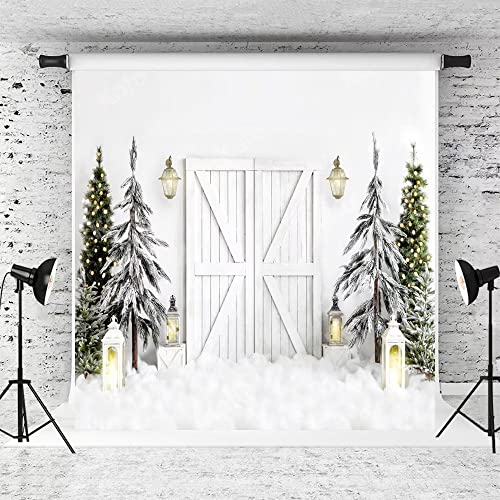 Capture the Magic: Kate’s Winter Wonderland Backdrop for Photography