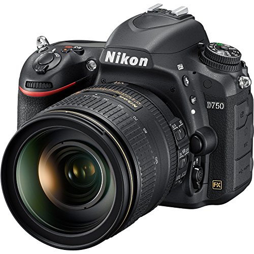 Capture Life’s Moments: Renewed Nikon D750 & AF-S 24-120mm f/4 G VR ED Zoom-Nikkor Lens