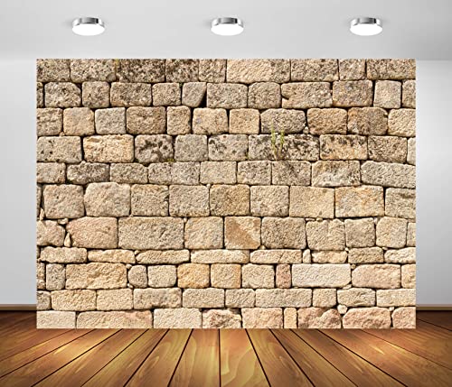 Capture Memories with BELECO’s Vintage Brick Stone Wall Backdrop