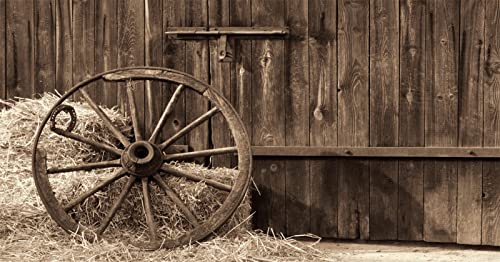 Cowboys’ Country Adventure: Vintage Barn, Hay Bales & Western Fun!