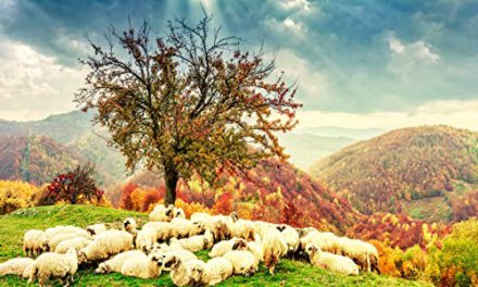 Breathtaking Christian Landscape: Sheep in Holy Light